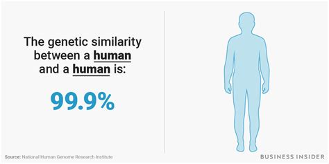 which species are humans most genetically similar to